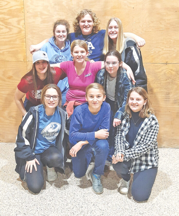 Big Dreamers 4H Club elects officers News, Sports, Jobs The Sentinel